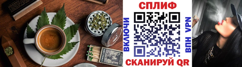 MEGA ONION  Игра  Cannafood конопля 