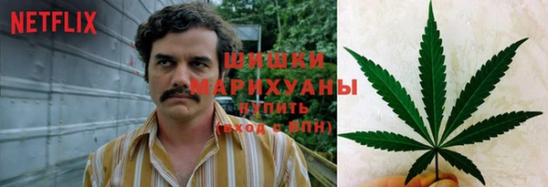 каннабис Арсеньев
