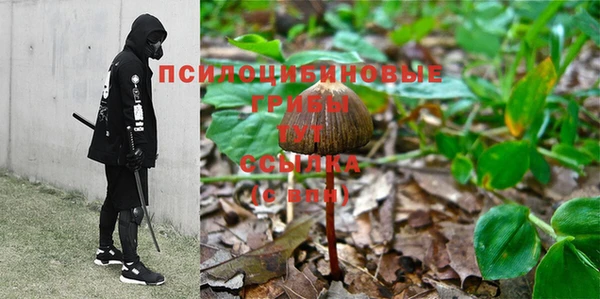 каннабис Арсеньев